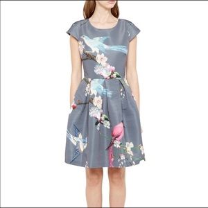 Ted Baker Flight of the Orient Dress NWT